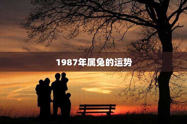 1987年属兔的运势