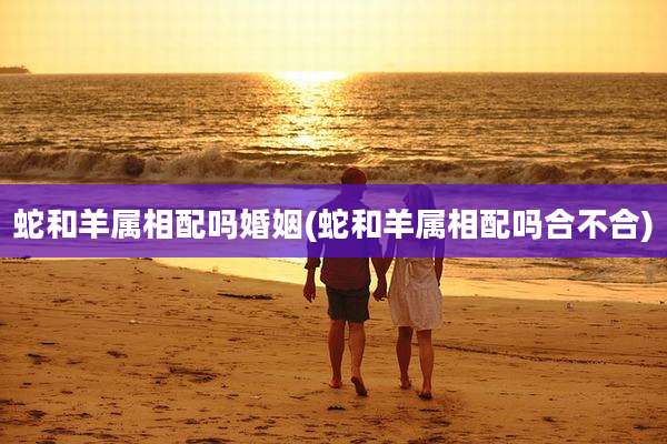 蛇和羊属相配吗婚姻(蛇和羊属相配吗合不合)