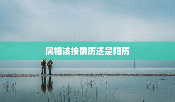 属相该按阴历还是阳历