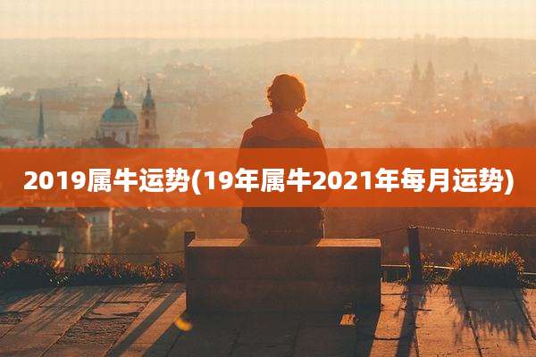 2019属牛运势(19年属牛2021年每月运势)