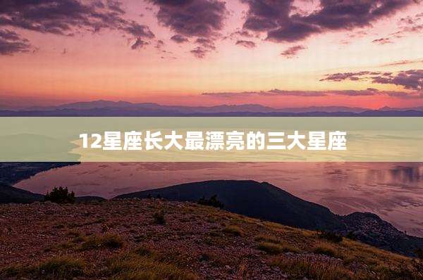 12星座长大最漂亮的三大星座