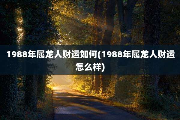 1988年属龙人财运如何(1988年属龙人财运怎么样)