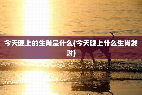 今天晚上的生肖是什么(今天晚上什么生肖发财)
