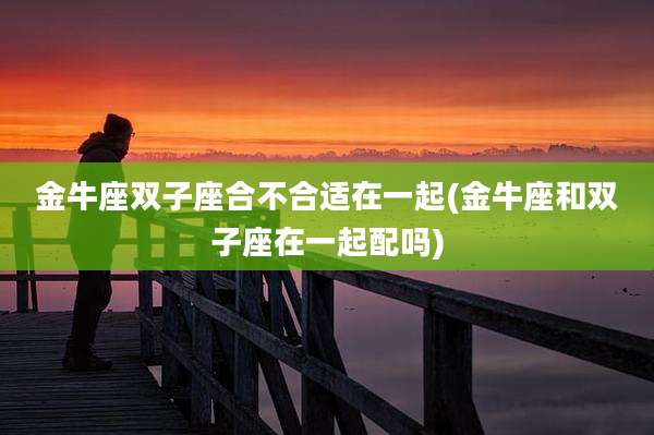 金牛座双子座合不合适在一起(金牛座和双子座在一起配吗)