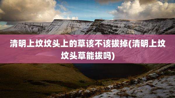 清明上坟坟头上的草该不该拔掉(清明上坟坟头草能拔吗)