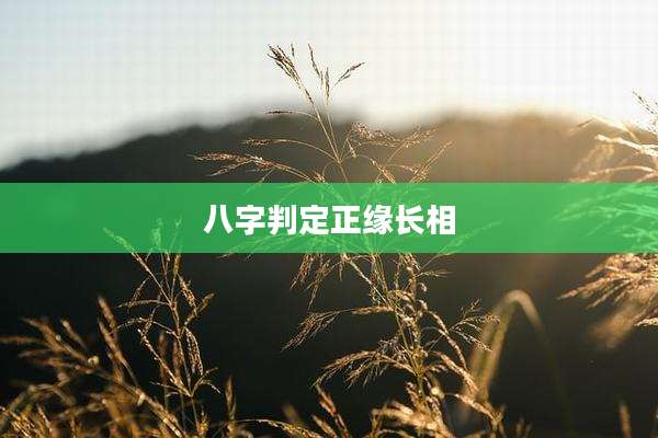 八字判定正缘长相