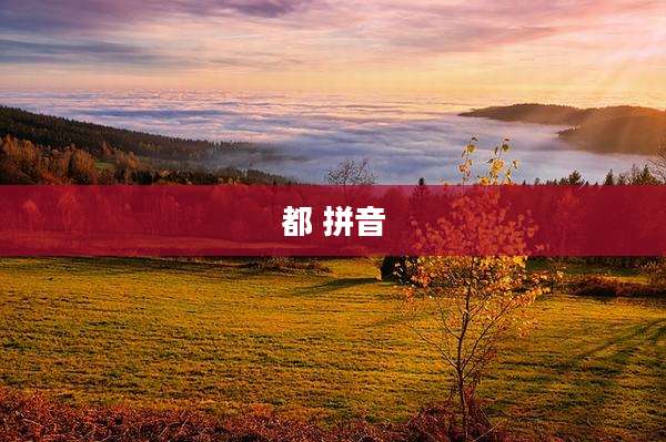 都 拼音