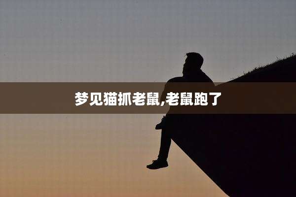 梦见猫抓老鼠,老鼠跑了