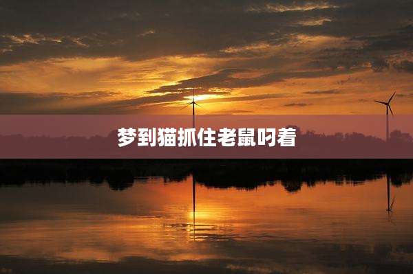 梦到猫抓住老鼠叼着