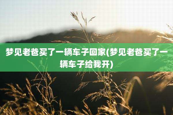梦见老爸买了一辆车子回家(梦见老爸买了一辆车子给我开)