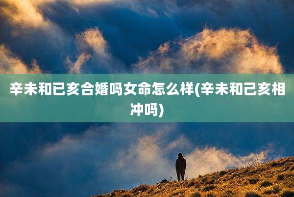 辛未和已亥合婚吗女命怎么样(辛未和己亥相冲吗)