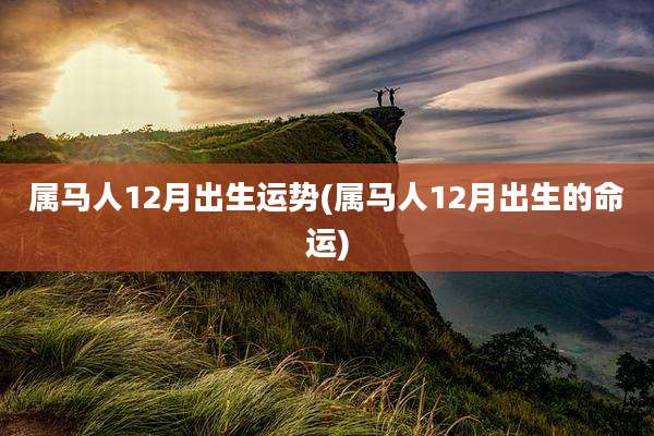 属马人12月出生运势(属马人12月出生的命运)