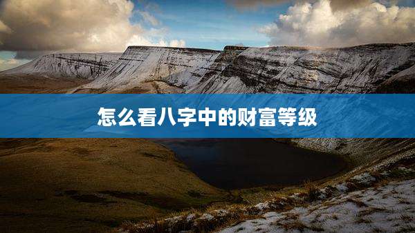 怎么看八字中的财富等级