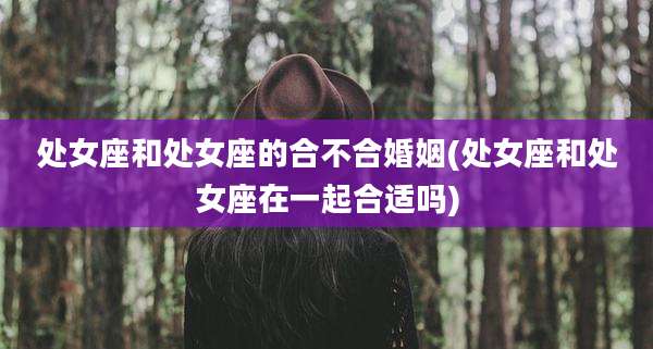处女座和处女座的合不合婚姻(处女座和处女座在一起合适吗)