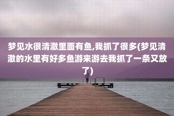 梦见水很清澈里面有鱼,我抓了很多(梦见清澈的水里有好多鱼游来游去我抓了一条又放了)