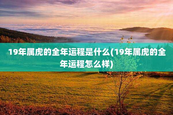 19年属虎的全年运程是什么(19年属虎的全年运程怎么样)