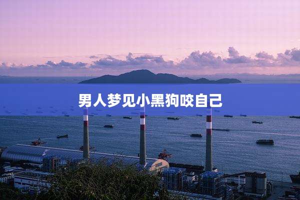 男人梦见小黑狗咬自己