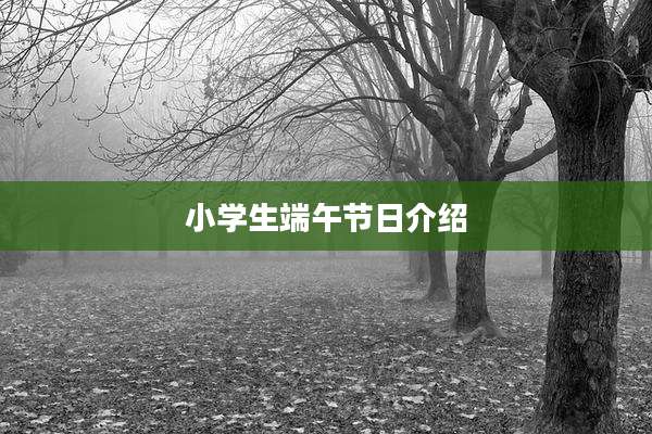 小学生端午节日介绍