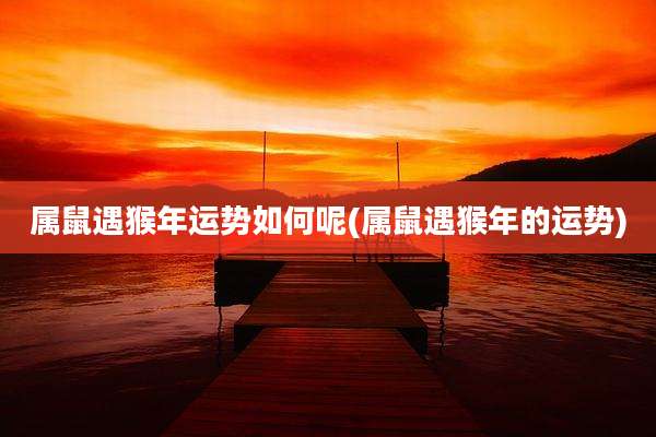 属鼠遇猴年运势如何呢(属鼠遇猴年的运势)