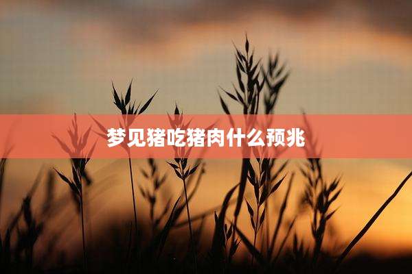 梦见猪吃猪肉什么预兆