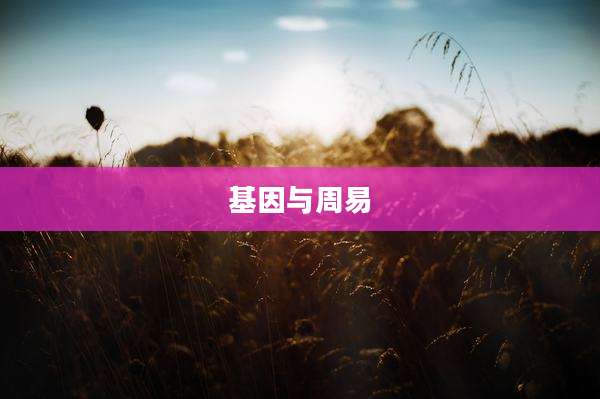 基因与周易