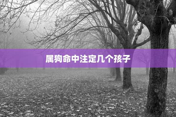 属狗命中注定几个孩子