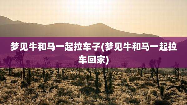 梦见牛和马一起拉车子(梦见牛和马一起拉车回家)