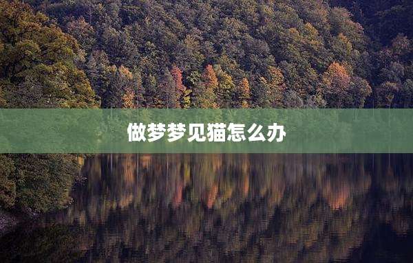 做梦梦见猫怎么办