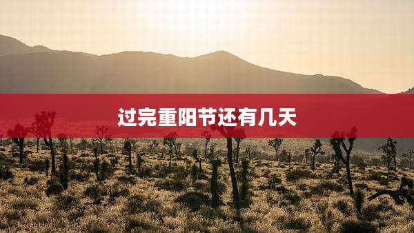 过完重阳节还有几天