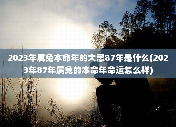 2023年属兔本命年的大忌87年是什么(2023年87年属兔的本命年命运怎么样)