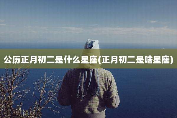 公历正月初二是什么星座(正月初二是啥星座)