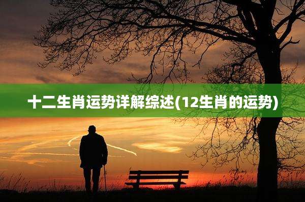 十二生肖运势详解综述(12生肖的运势)