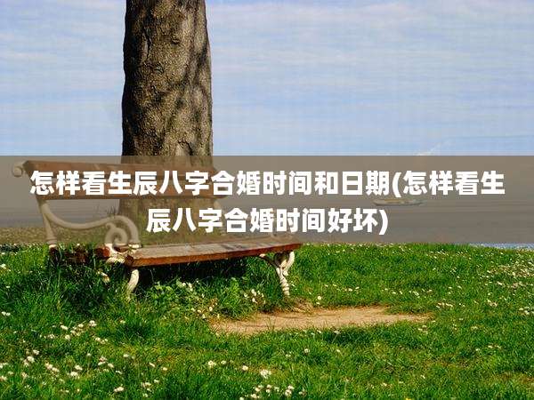 怎样看生辰八字合婚时间和日期(怎样看生辰八字合婚时间好坏)