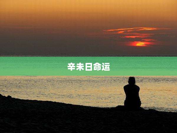 辛未日命运