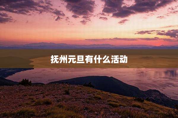 抚州元旦有什么活动