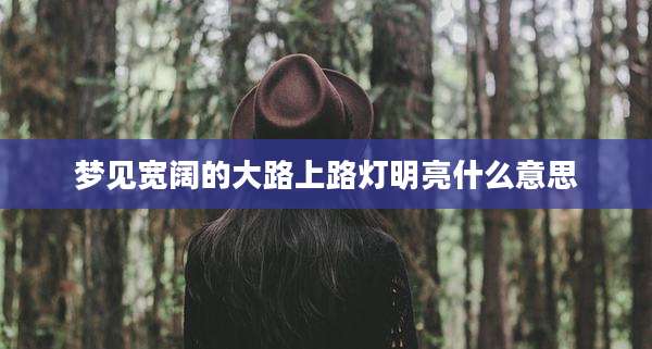 梦见宽阔的大路上路灯明亮什么意思