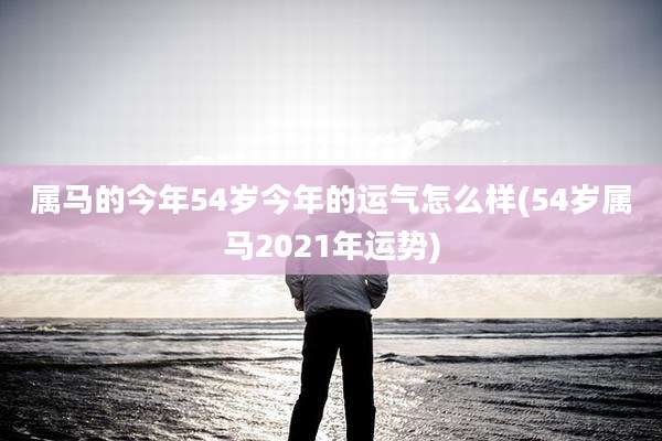 属马的今年54岁今年的运气怎么样(54岁属马2021年运势)