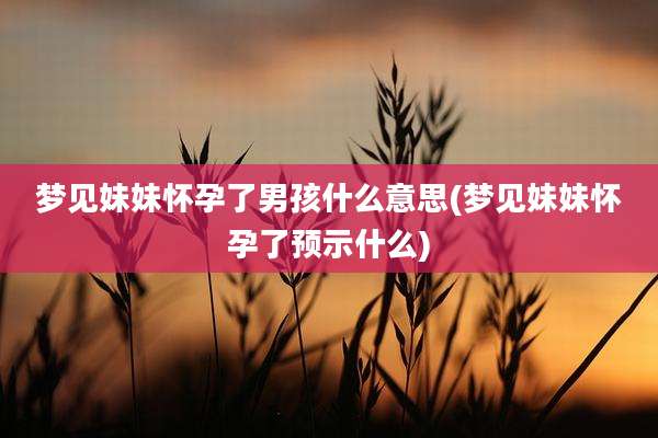 梦见妹妹怀孕了男孩什么意思(梦见妹妹怀孕了预示什么)