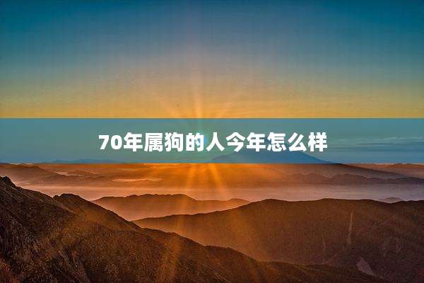70年属狗的人今年怎么样