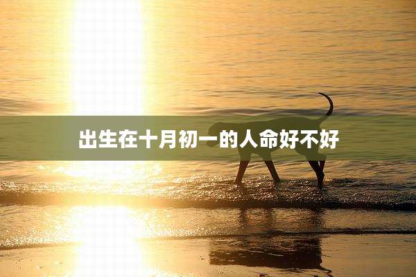 出生在十月初一的人命好不好
