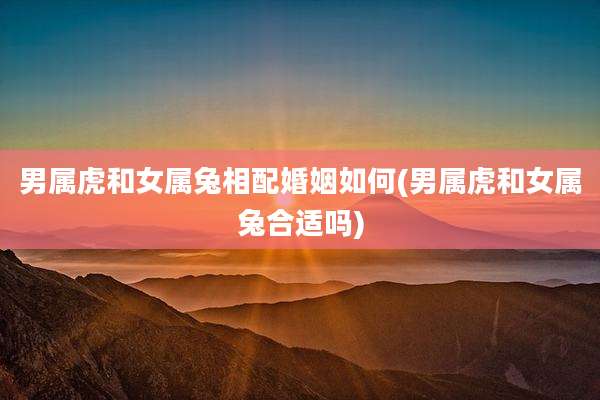男属虎和女属兔相配婚姻如何(男属虎和女属兔合适吗)