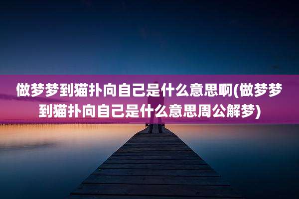 做梦梦到猫扑向自己是什么意思啊(做梦梦到猫扑向自己是什么意思周公解梦)