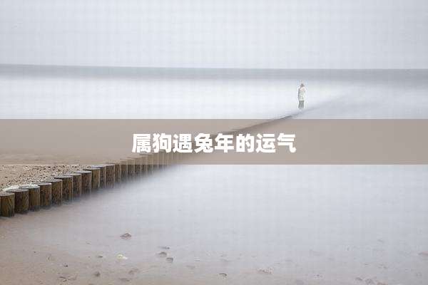 属狗遇兔年的运气