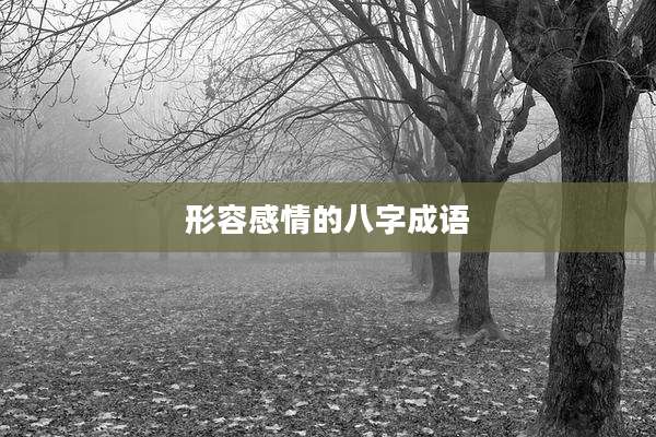 形容感情的八字成语