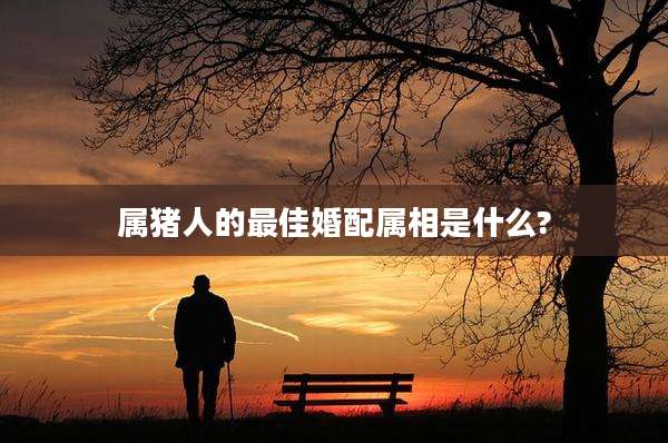 属猪人的最佳婚配属相是什么?