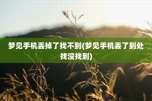 梦见手机丢掉了找不到(梦见手机丢了到处找没找到)