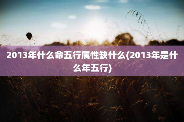 2013年什么命五行属性缺什么(2013年是什么年五行)