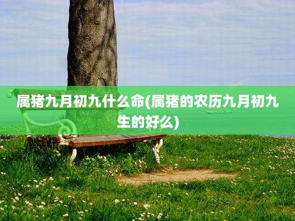 属猪九月初九什么命(属猪的农历九月初九生的好么)