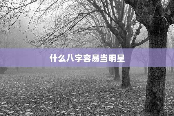 什么八字容易当明星