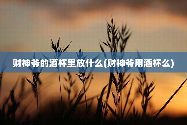 财神爷的酒杯里放什么(财神爷用酒杯么)